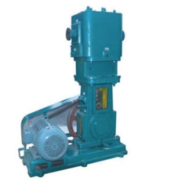 WLW reciprocating vacuum pump